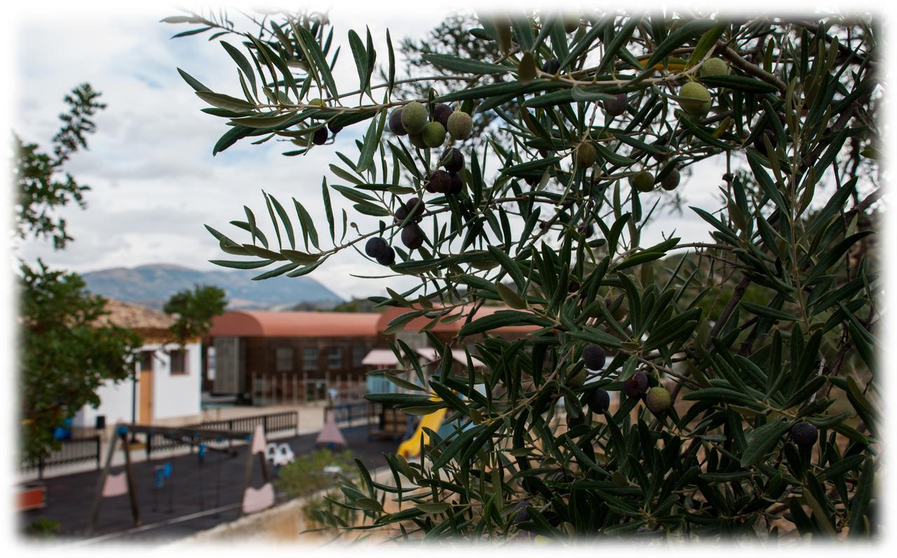 Hotel - Restaurante Estacion Via Verde Olvera Dış mekan fotoğraf